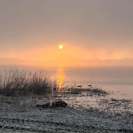 Daire Equipe Aux Pieds Des Vosges