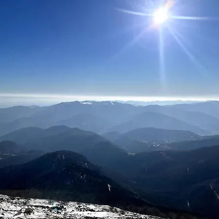 Equipe Aux Pieds Des Vosges Daire Leimbach