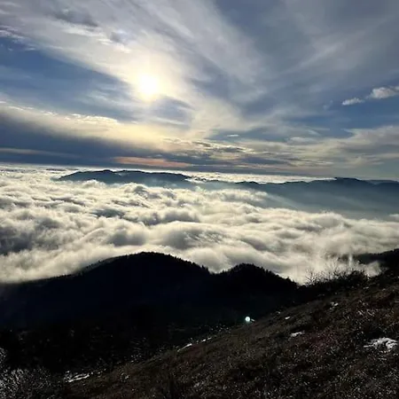 Equipe Aux Pieds Des Vosges Daire