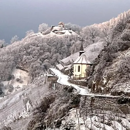 Equipe Aux Pieds Des Vosges Daire Leimbach