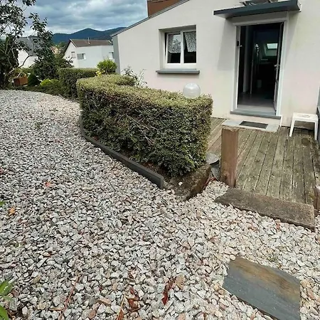 Equipe Aux Pieds Des Vosges Daire